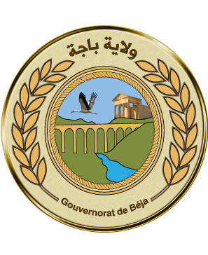 الوضع الصحي بولاية باجة 14 أفريل 2020