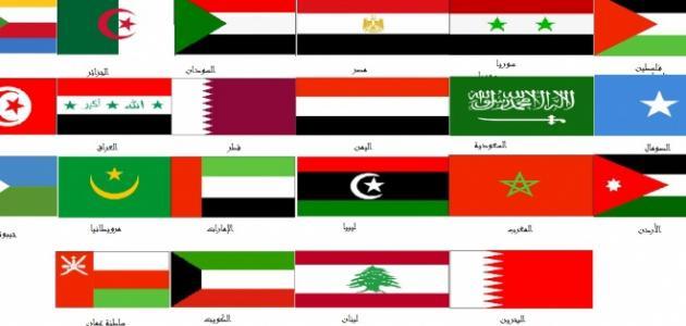مصباح شنيب: العرب في مفترق الطرق